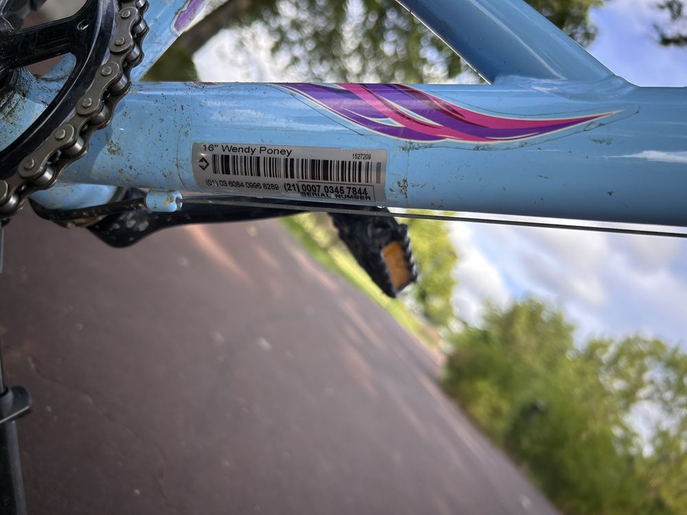 Bicicleta menina