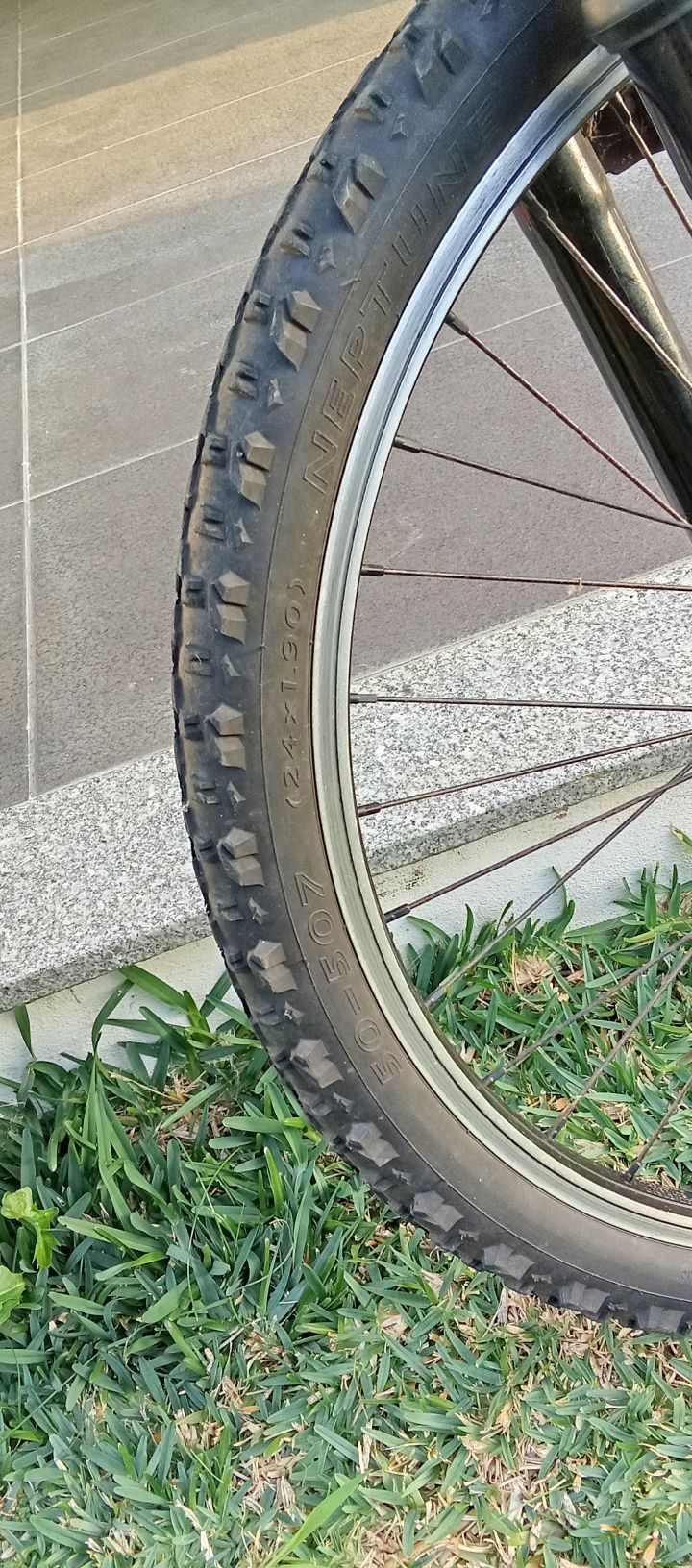 Bicicleta Berg junior