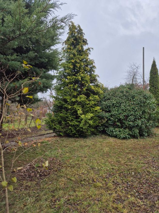 Sprzedam ogródek działkowy ROD Słoneczne w Zabrzu