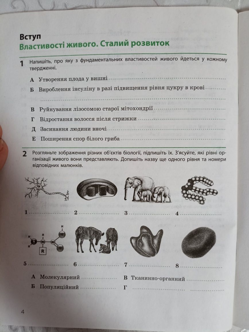 Робочий зошит з біології та екології 10 клас К.М.Задорожний