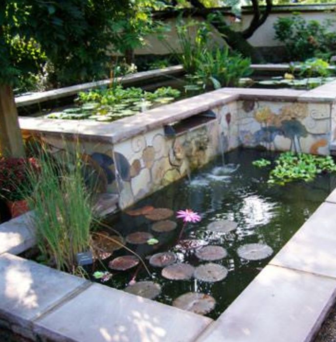 Корм для риб, короб коі Україна, nishiki, coppens, рибки