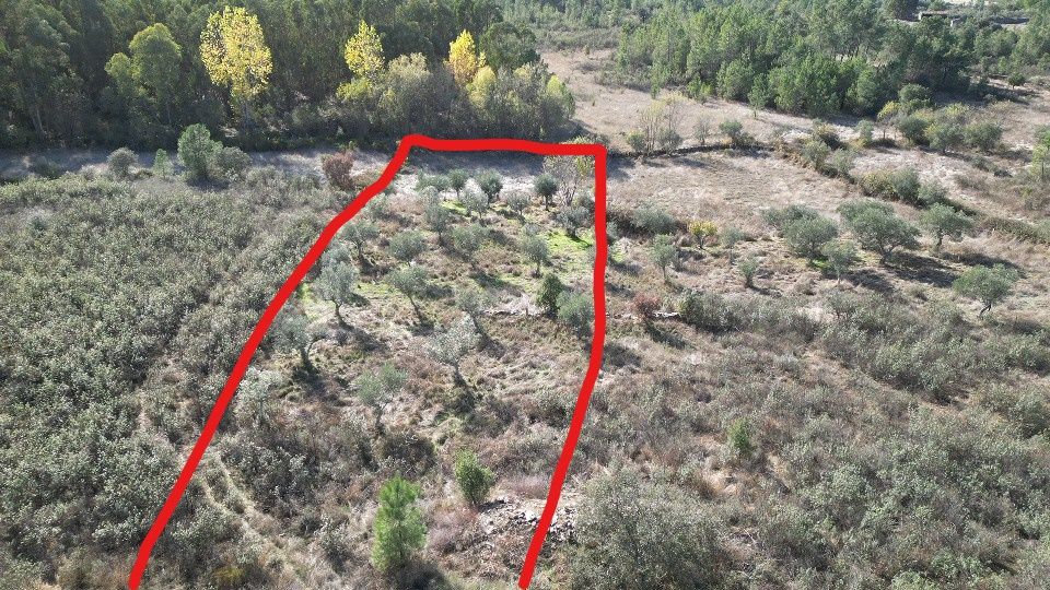 Terreno Rústico - 3600m2