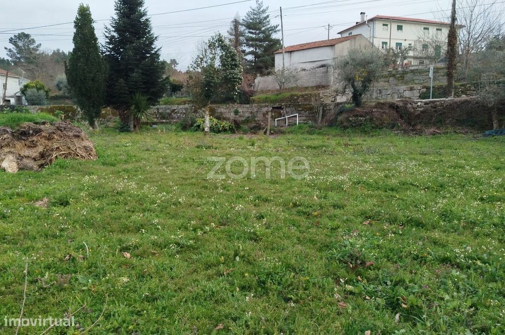 Terreno para Construção – Oportunidade Única, Chãs Tavares