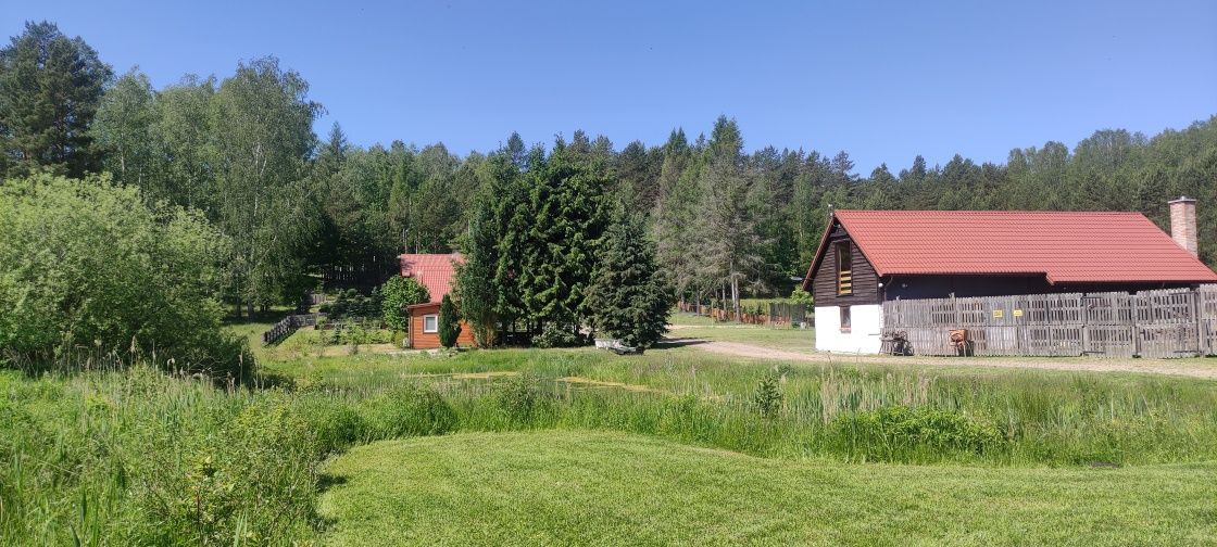 NOWE domki letniskowe,, Lisie Bagno,, Mazury Miłomłyn wynajem