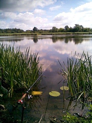 Domki letniskowe,Bartek nad jeziorem ,Zełwągi,noclegi,Mikołajki,Mazury