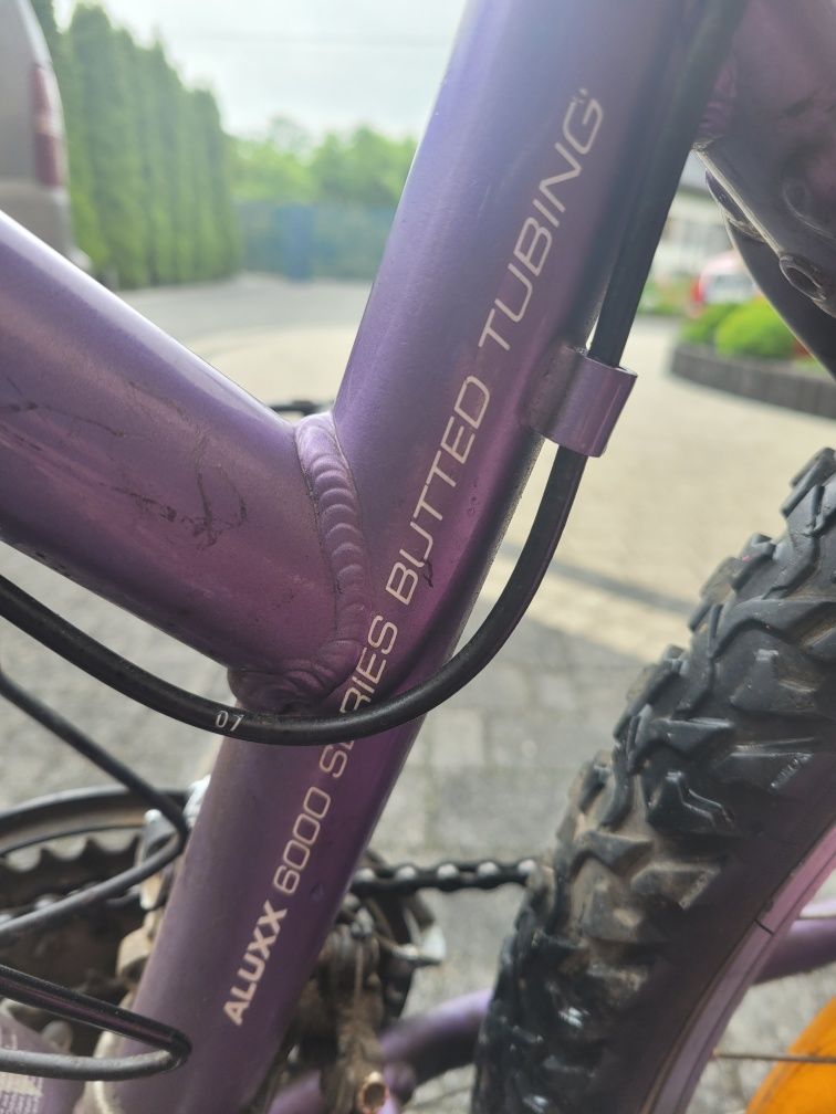 Rower Giant Aluxx 6000 serios butted tubing