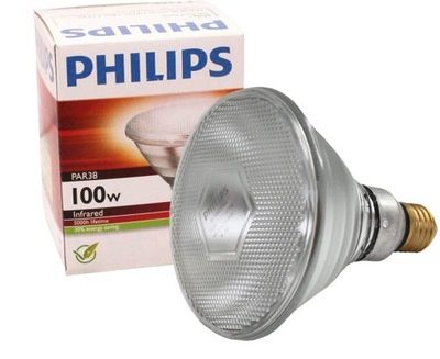 Żarówka Promiennik Kwoka PHILIPS 100 W BIAŁA