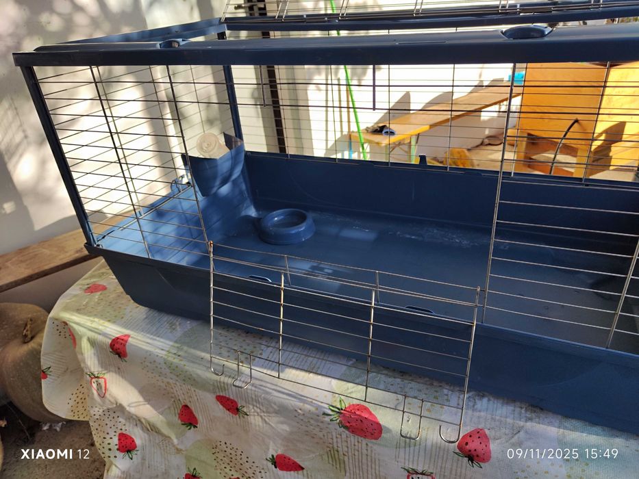 Gaiola grande para porquinhos da Índia ou coelho