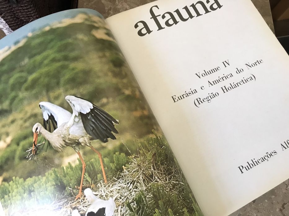 Livros: História da Arte / A Fauna / Obras de Victor Hugo desde...