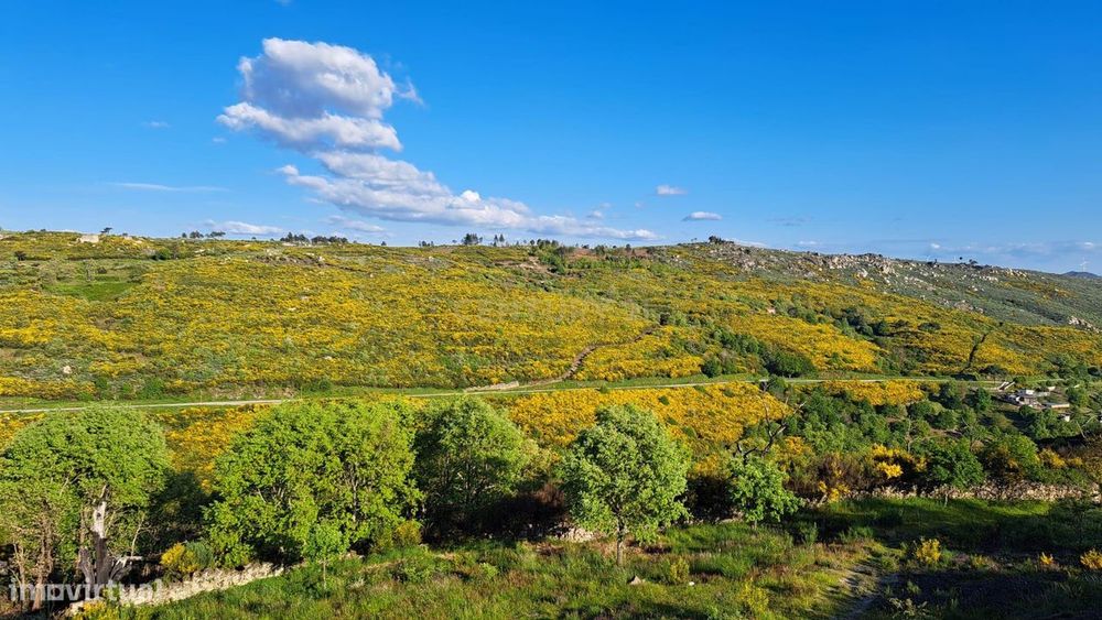 Terreno com viabilidade de construção - Guarda
