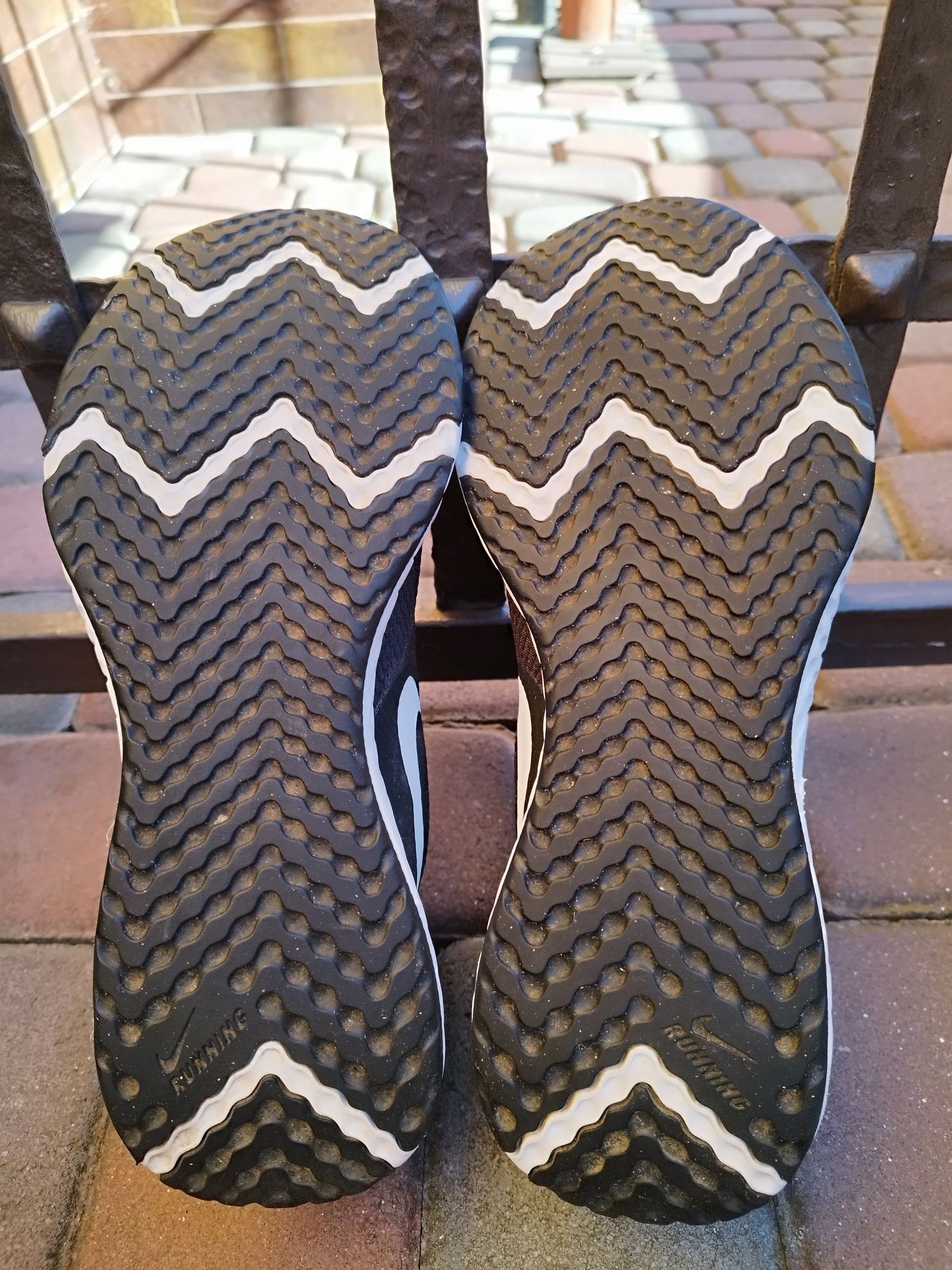 Кросівки чоловічі Nike Revolution 5