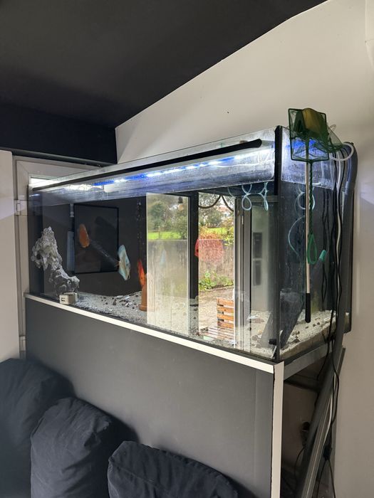 Aquario 450L 150x60x50