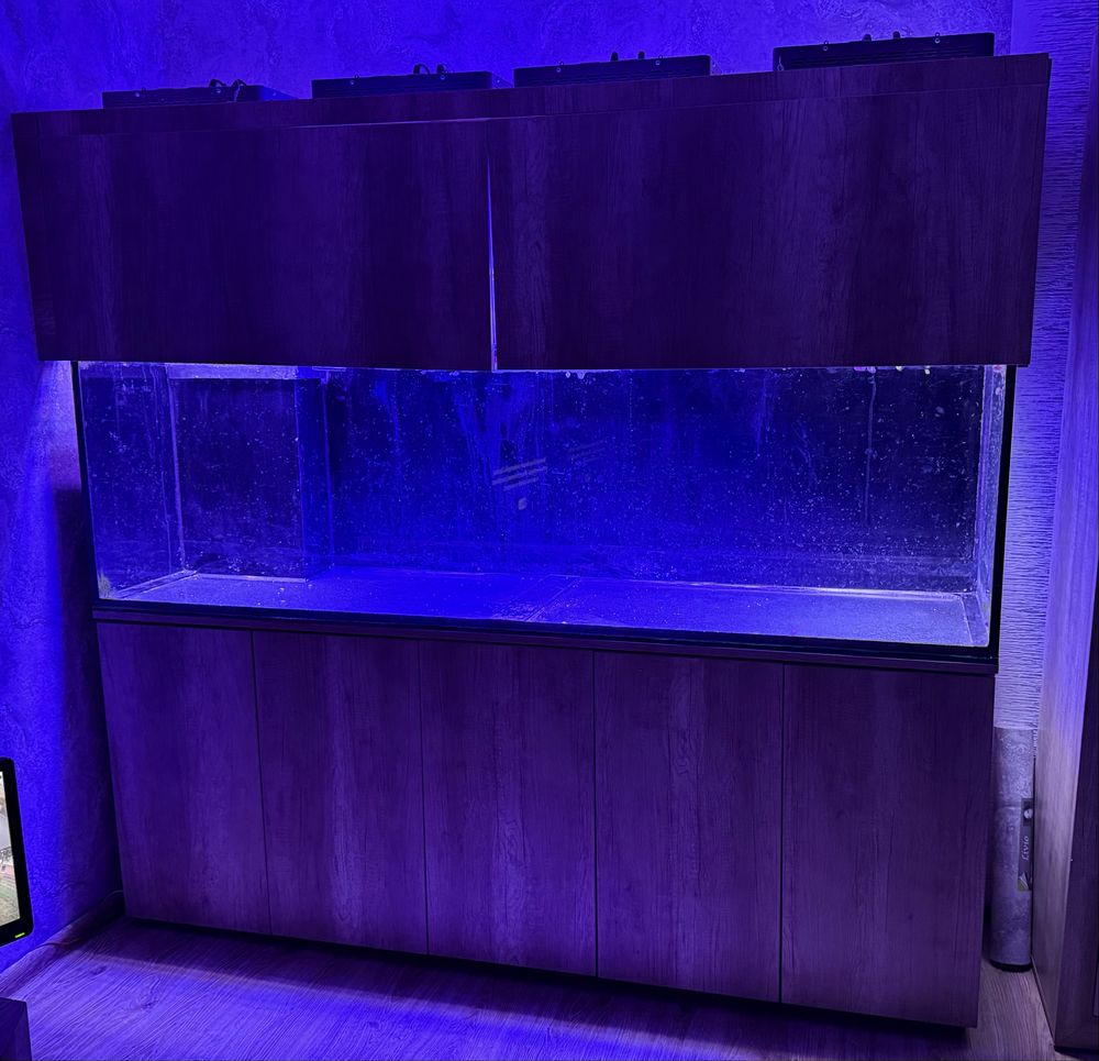Akwarium 600l. 200x50x60h +sump+stelaż+szafka+hydraulika