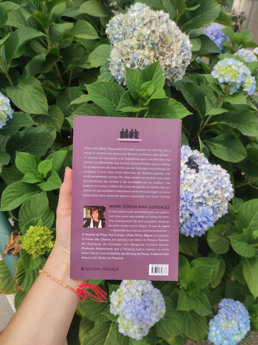 Livro "Entre irmãs"