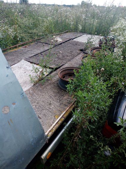 Sprzedam lawete IVECO