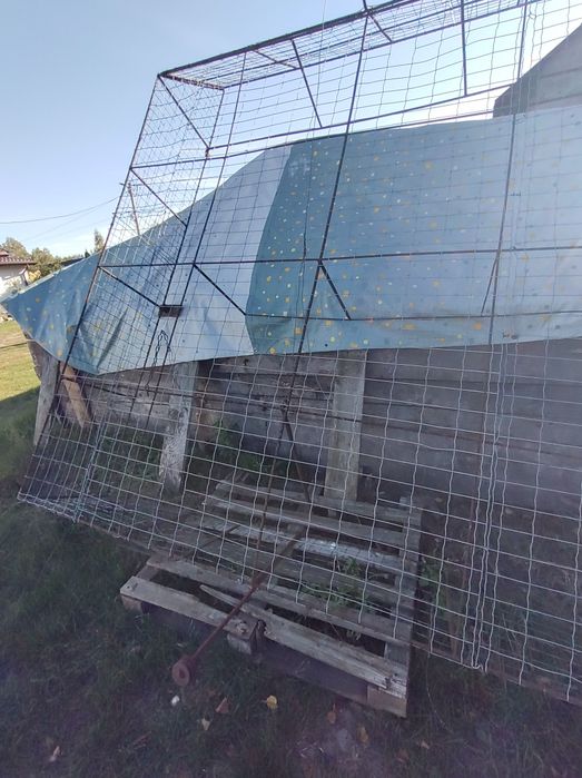 Krata siatka gołębie gołębnik