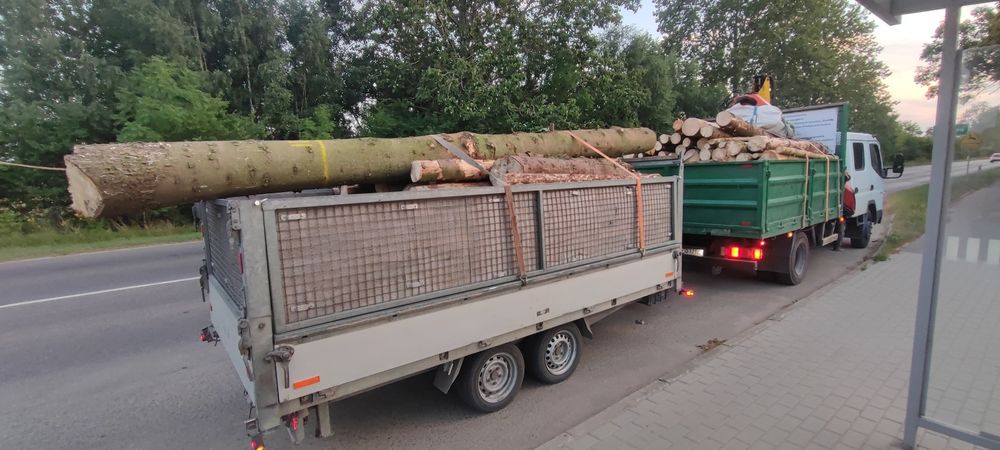 Wycinka drzew, wywóz zagrożeń drzewostanu Wywrót, wywrot,