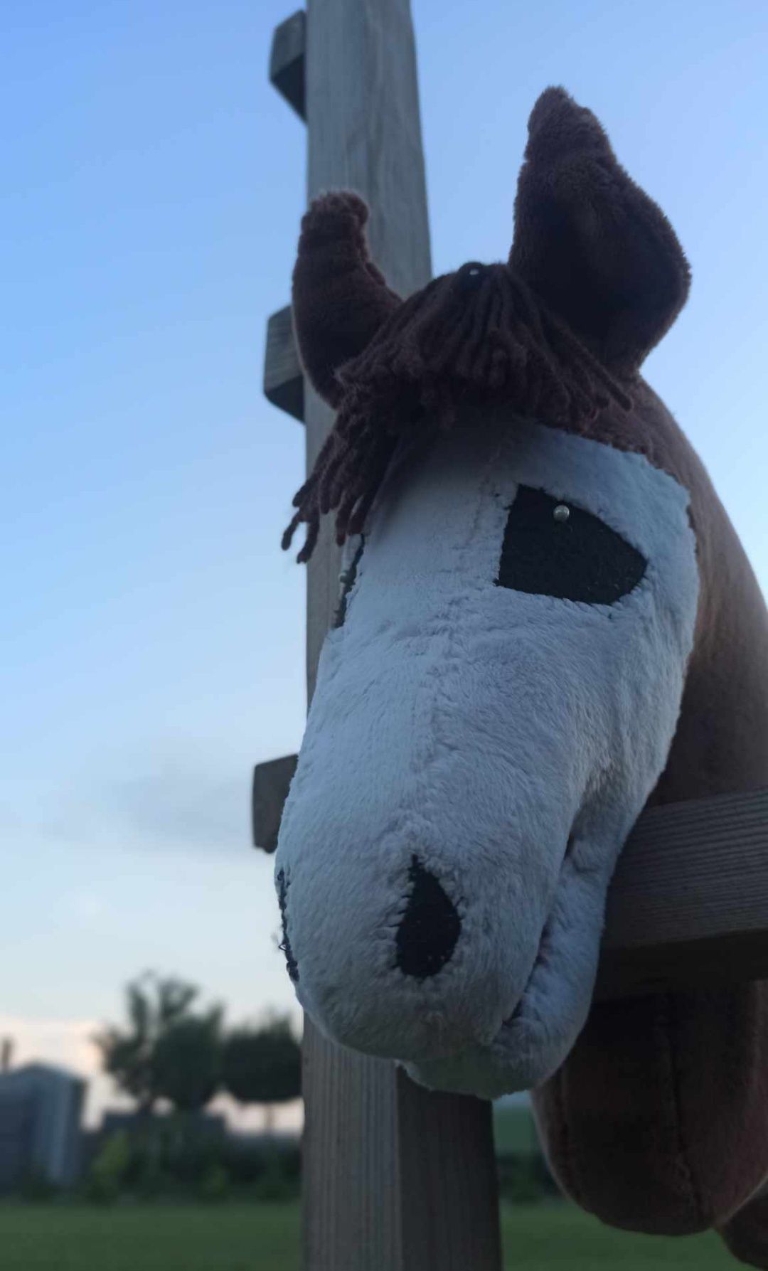 Hobby horse a4 gniady