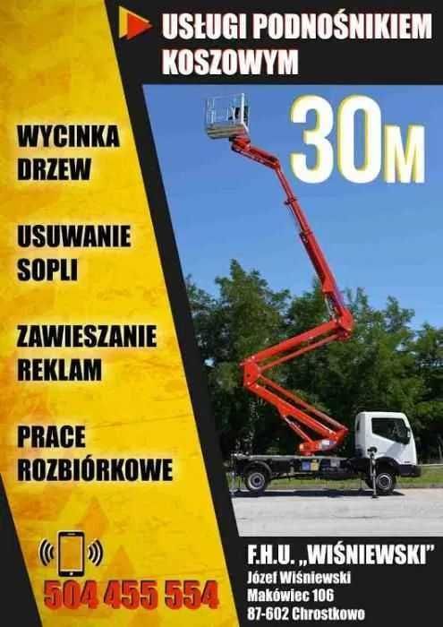 Wycinka drzew,alpinista lub podnośnik,rębak