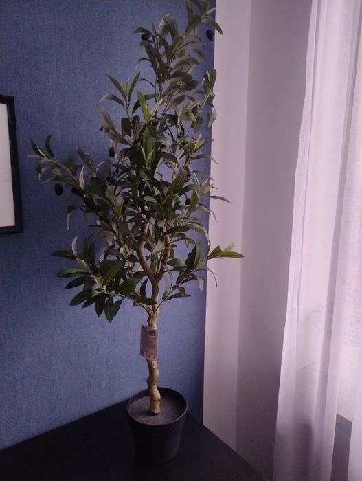 Drzewko oliwne sztuczne