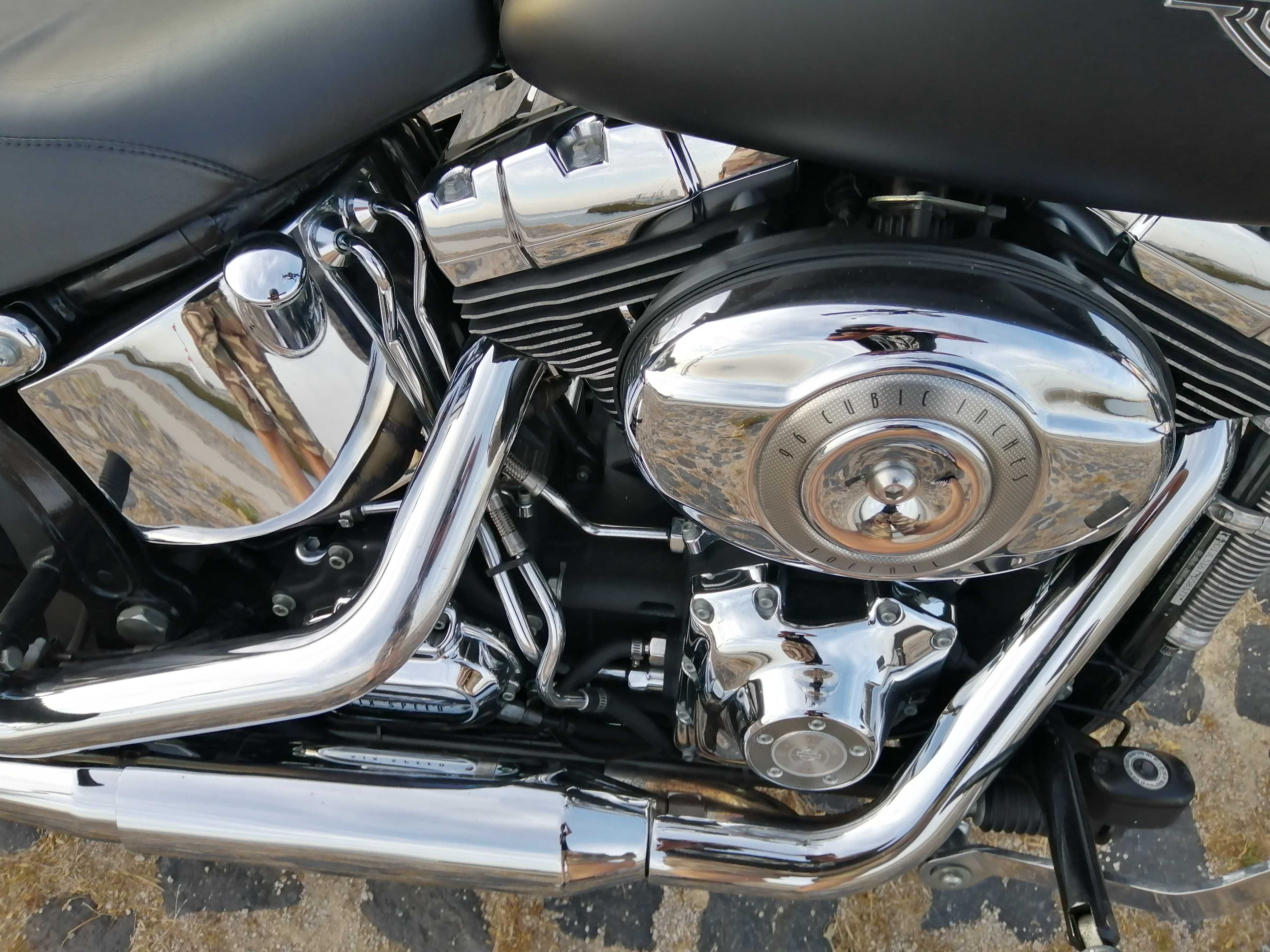 Harley davidson softail custom