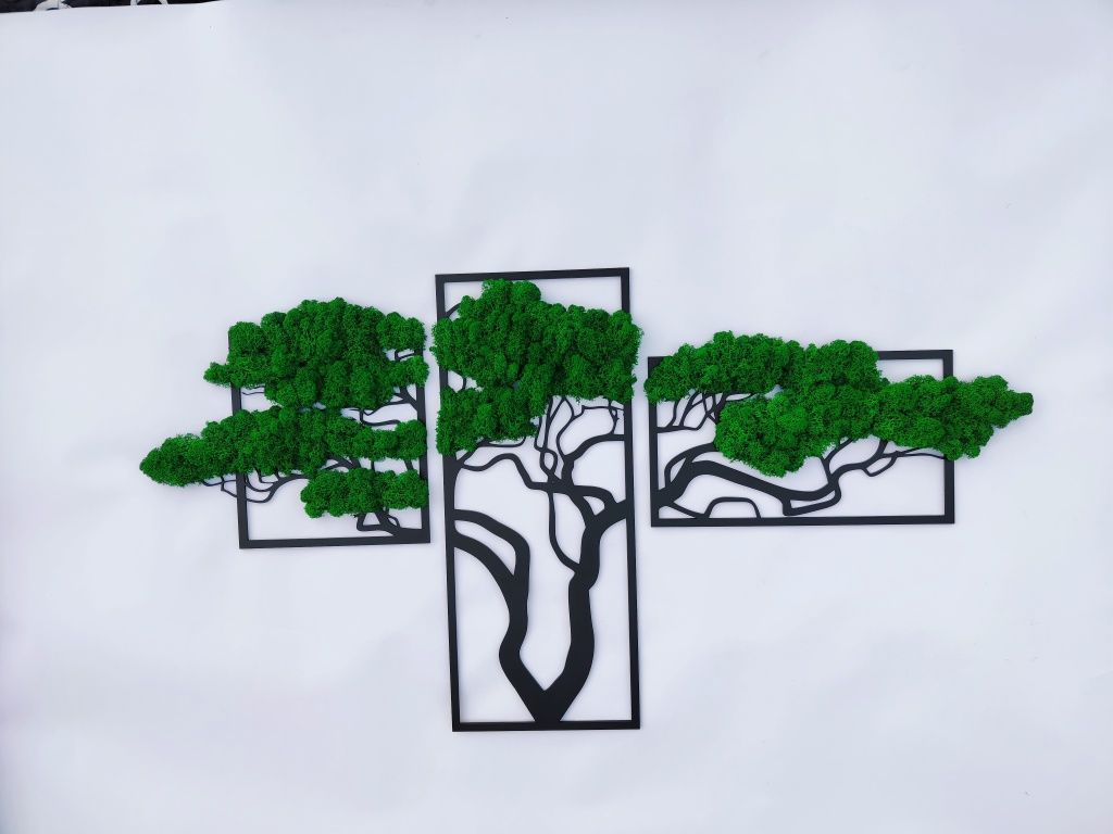 Obraz Bonsai Mech Chrobotek