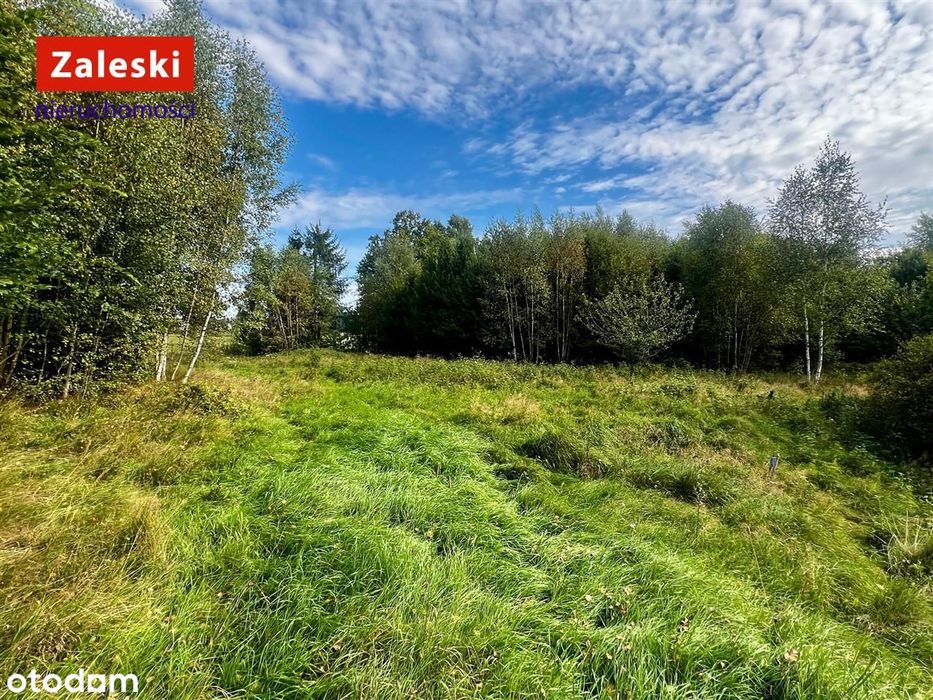 Działka pod agroturystykę lub własną oazę spokoju.