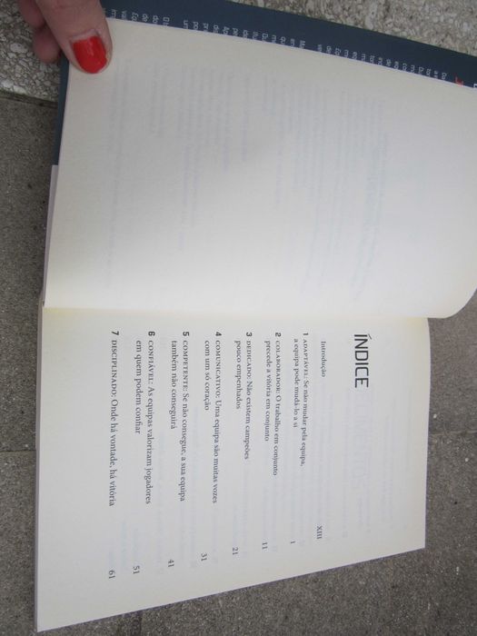 Livro As 17 Qualidades do Trabalho em Equipa de John C. Maxwell