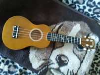 Mała gitara dla dziecka.