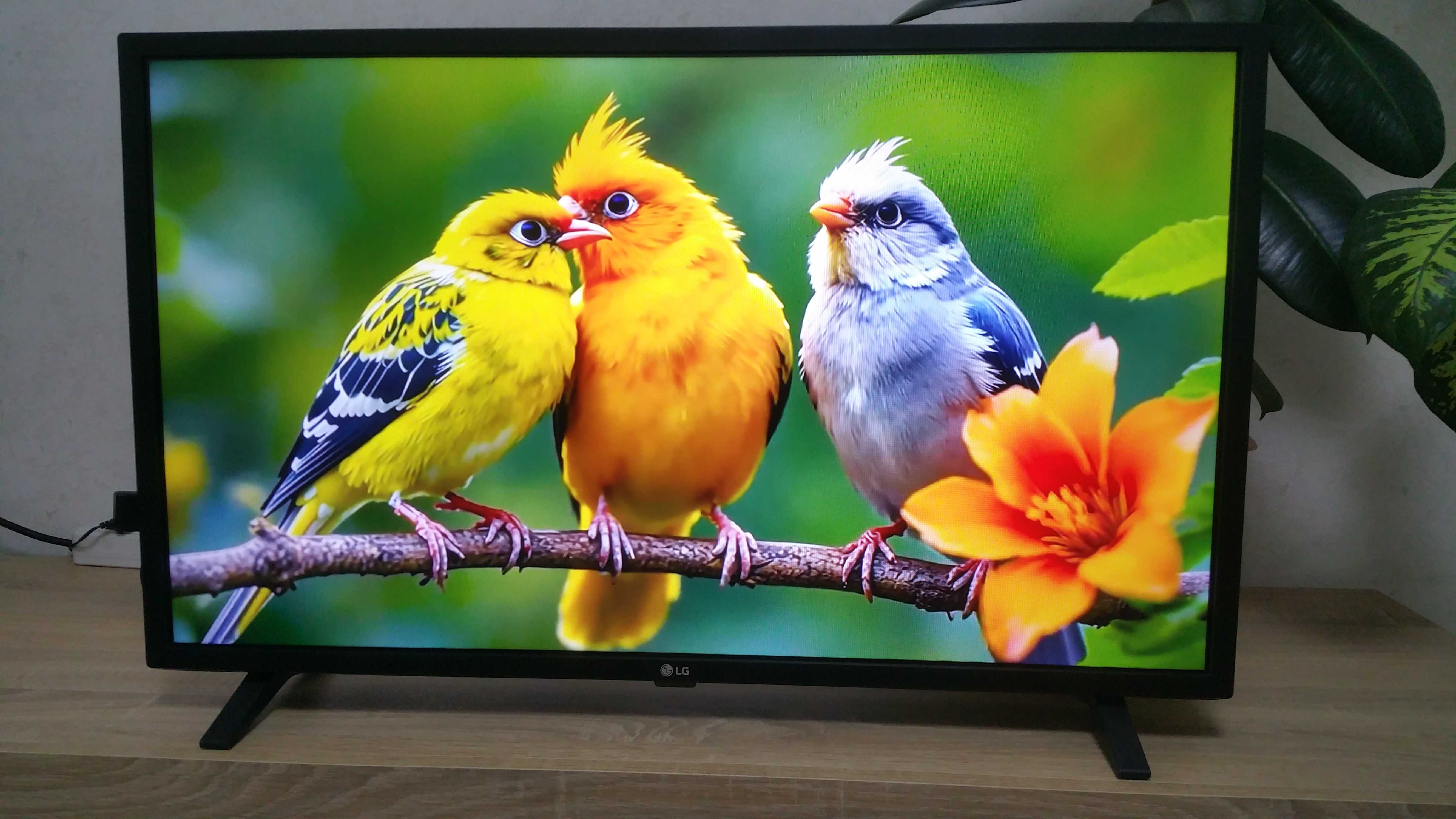 LG 32" Smart . Wi-Fi