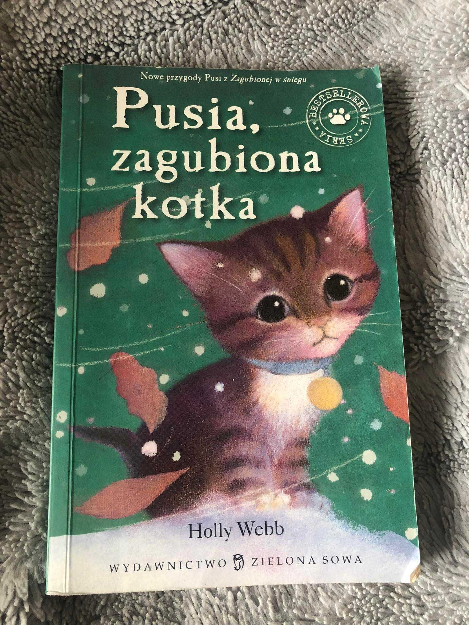 Pusia, zagubiona kotka. Zaopiekuj się mną