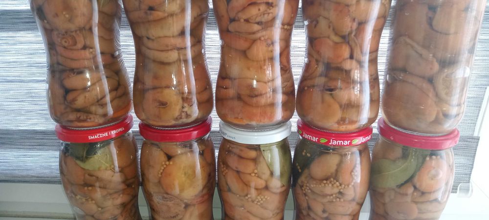 Rydze marynowane 10×500 ml