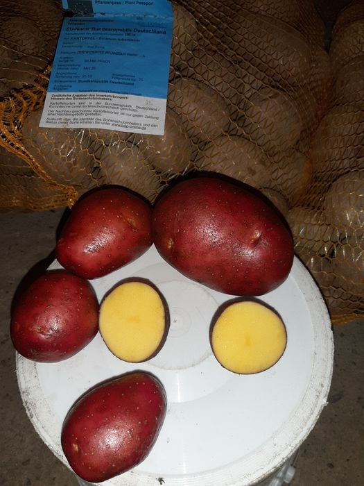 Ziemniaki, Jadalne-Fioletowe,czerwone zółte w srodku
