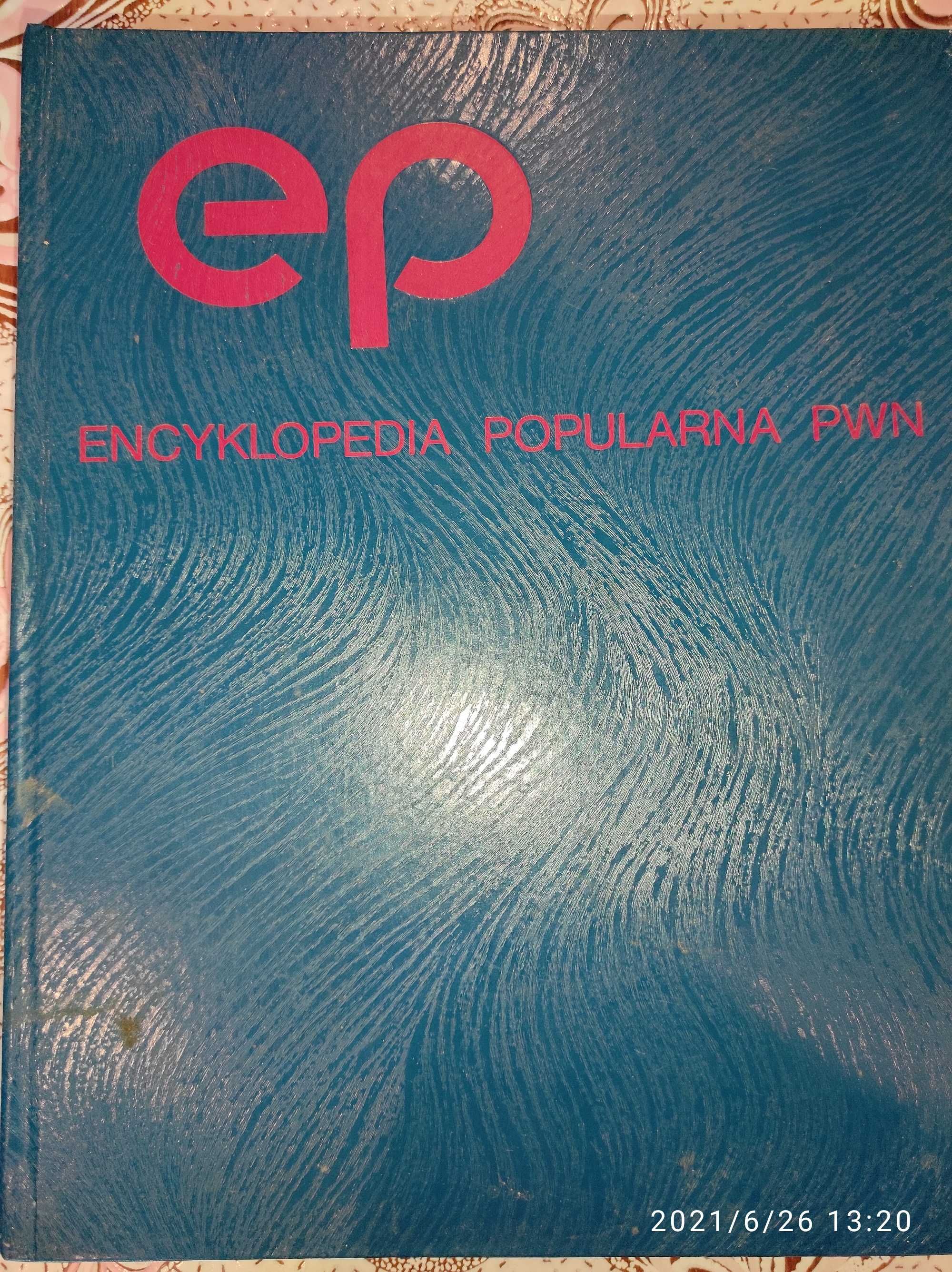 Книга. encyclopedia popularna pwn 1982г(на польском языке.