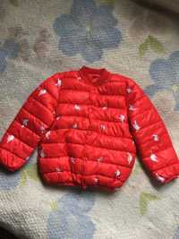 Стильна та практична дитяча курточка весна-осінь + подарунок