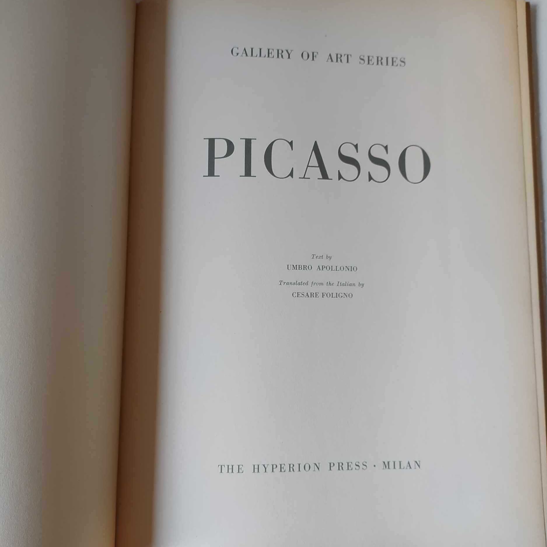 Picasso Gallery Of Art Series