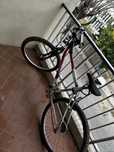 Bicicleta shimano