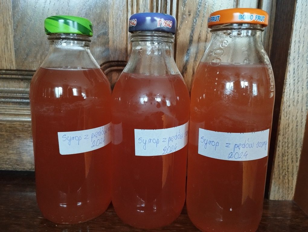 Syrop z pędów sosny ok 320 ml z 2024