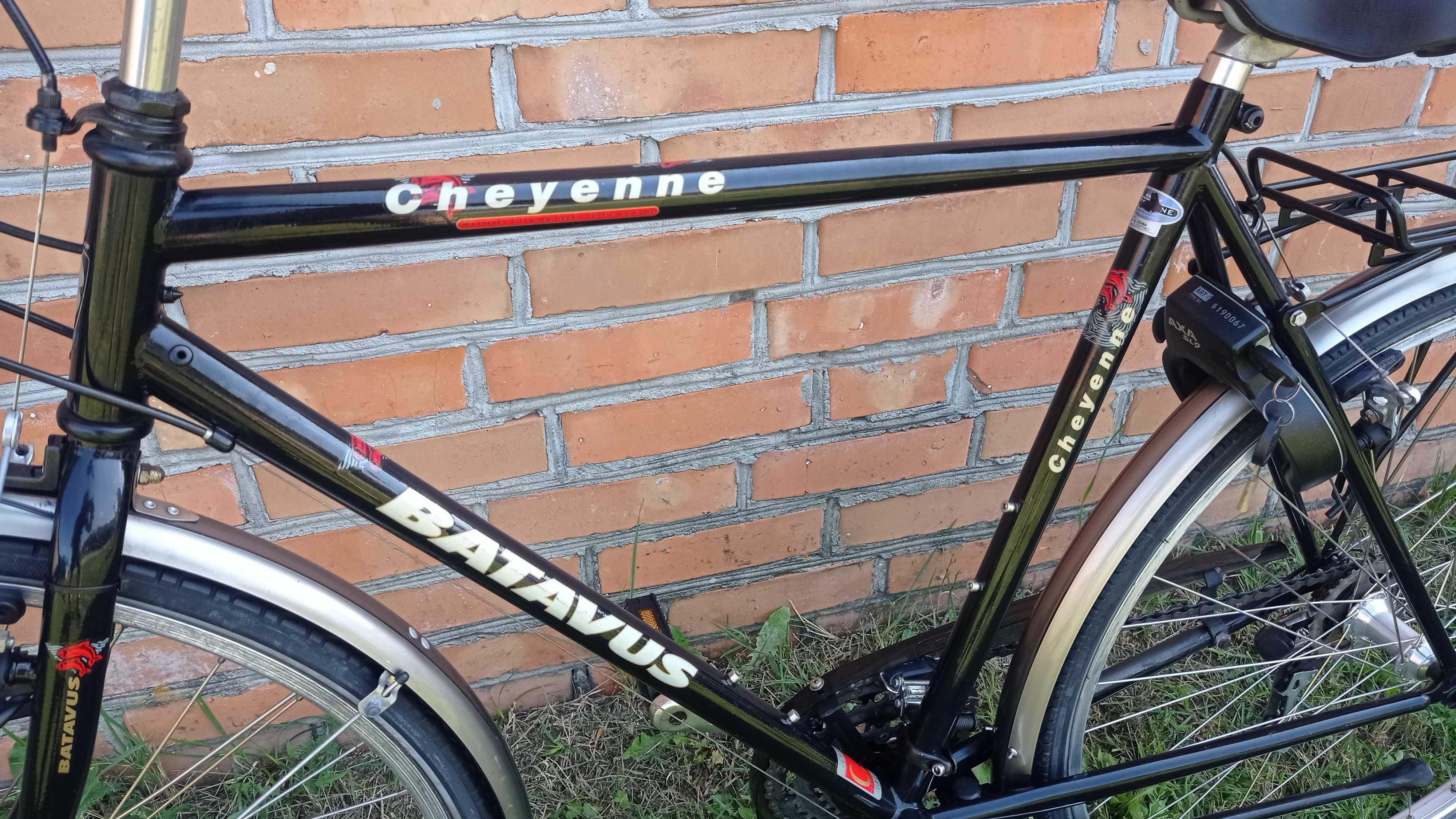 Rower męski holenderski Batavus Cheyenne CR - MO