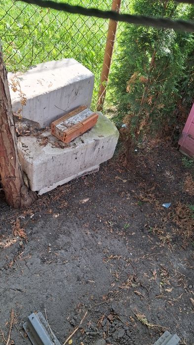 Oddam za darmo Opole