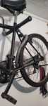 Bicicleta adulto