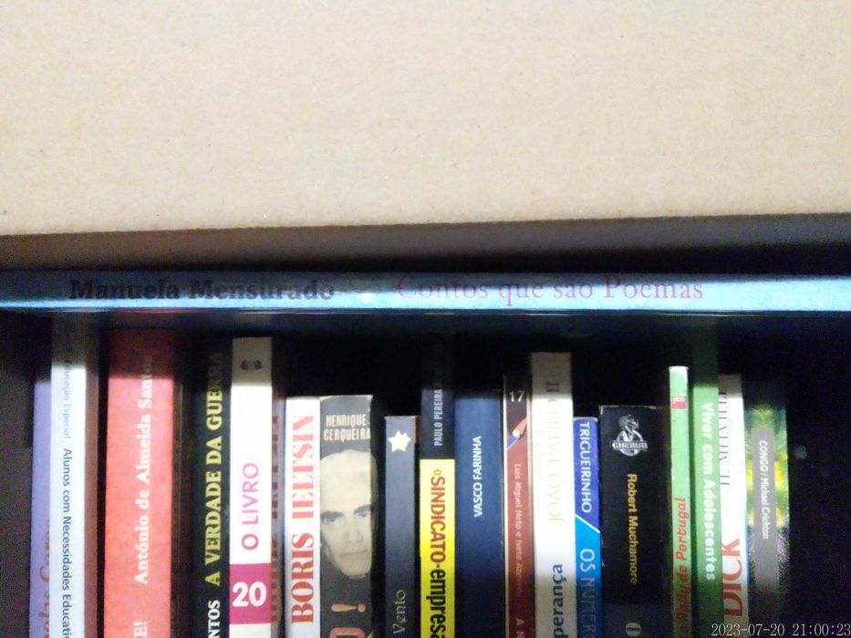 LOTE 35 - LIVROS Diversos - Vendidos INDIVIDUALMENTE a Preços Variados