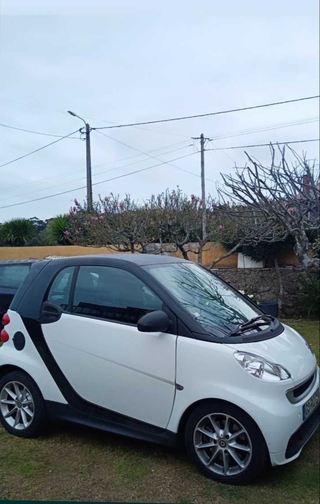 Smart fortwo 2012