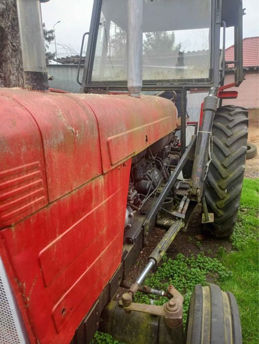 Sprzedam Dawida Brown