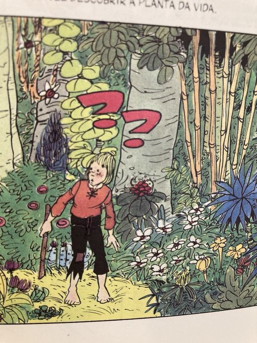 Livro A Cabana Encantada, de Condessa de Ségur