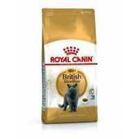 Royal Canin British Shorthair, 10 кг, для британців котів від 1 р