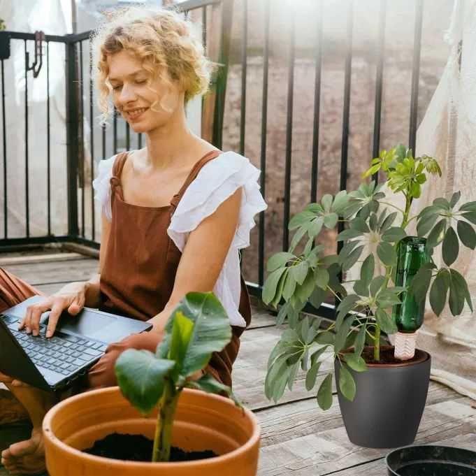 Kolec gliniany do podlewania kwiatów 4szt. Nawadniacz do podlewania