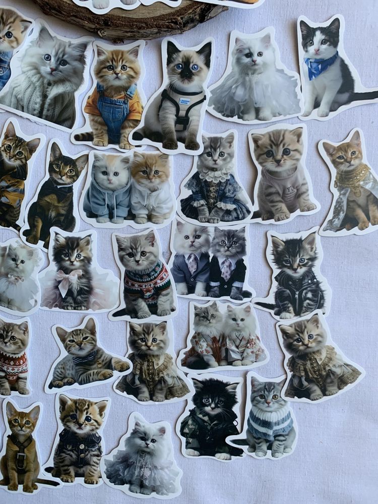 Zestaw naklejek do scrapbookingu Małe Śmieszne Kotki, 50 sztuk