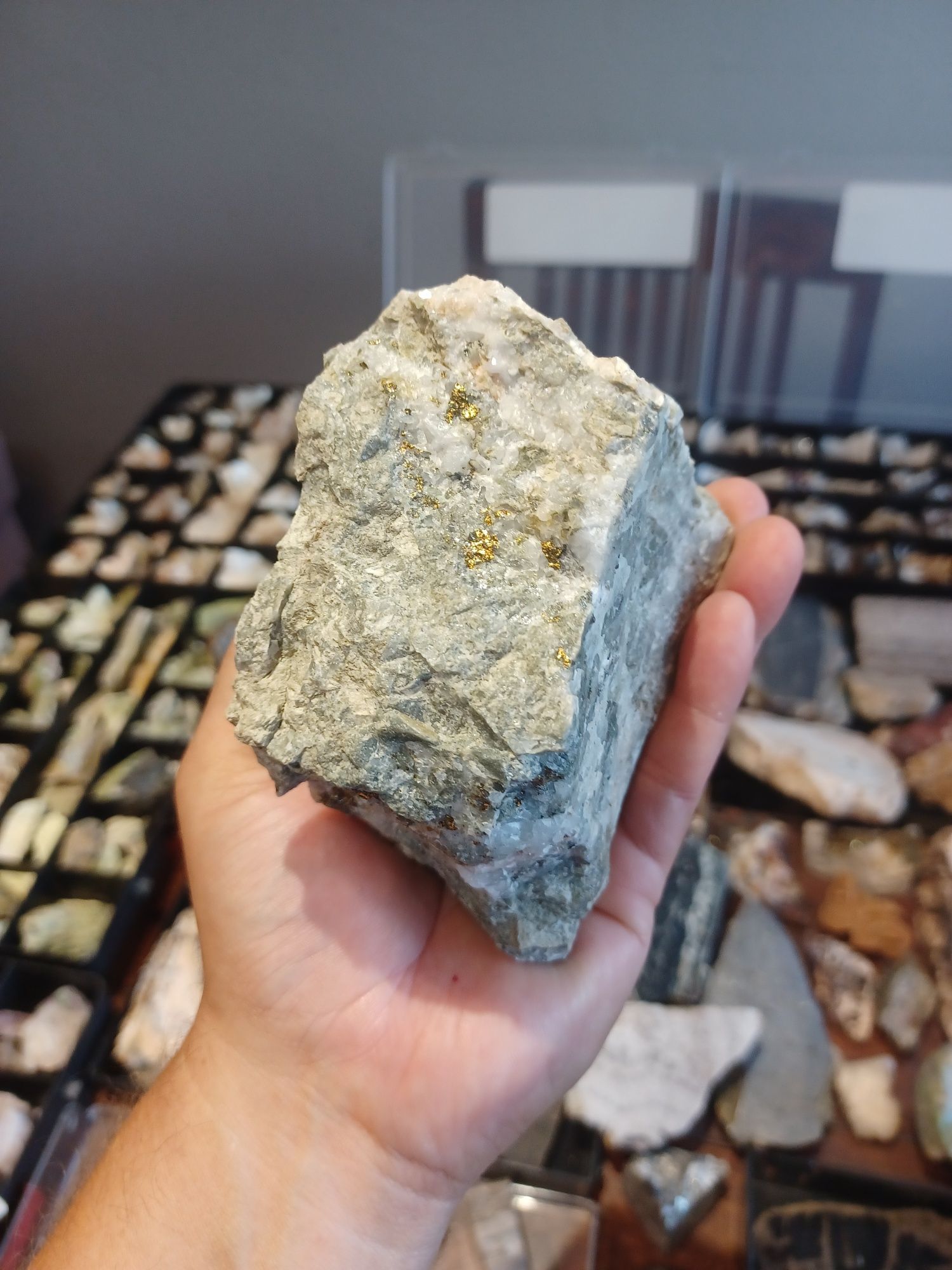 Minerały skamieniałości skały żyłą polimetaliczna piryt,chalkopiryt