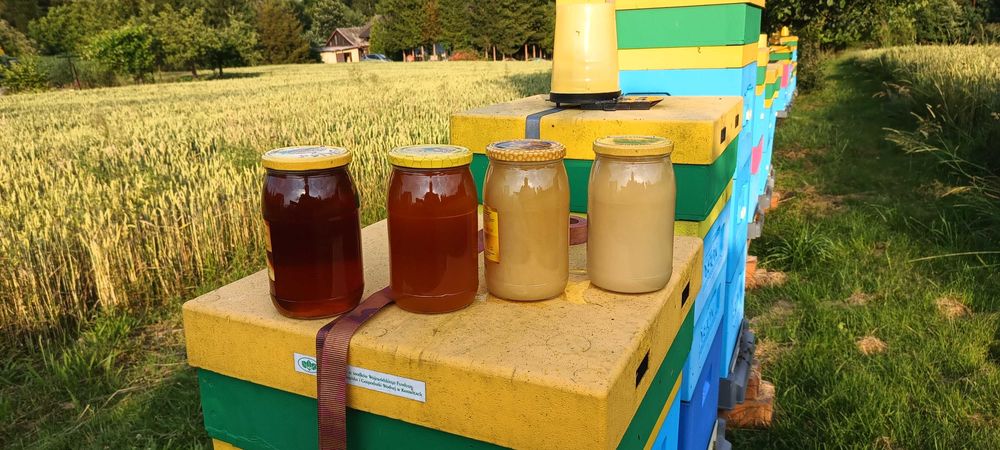 Naturalne miody prosto z pasieki